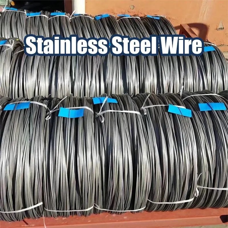 Plastic Coated Stainless Steel Wire, Professional Special 304 Environmental Protection