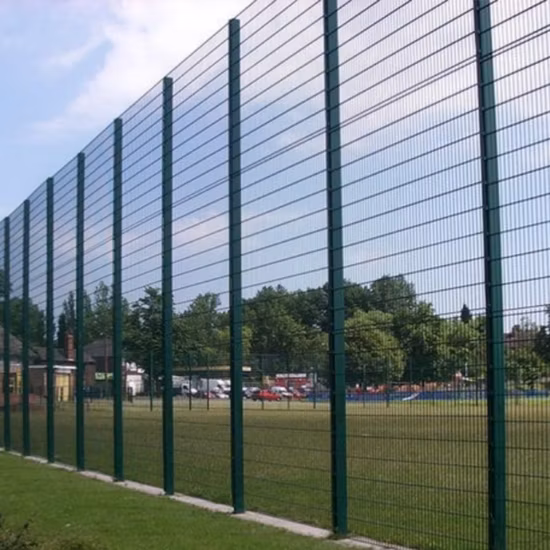 Galvanized Barbed Wire Mesh Plastic